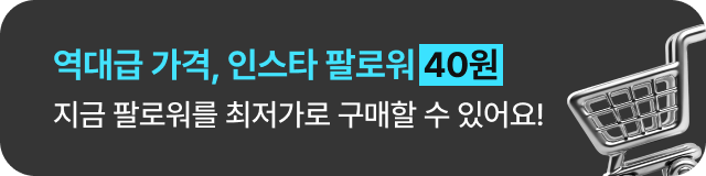 역대급 가격, 인스타 팔로워 40원